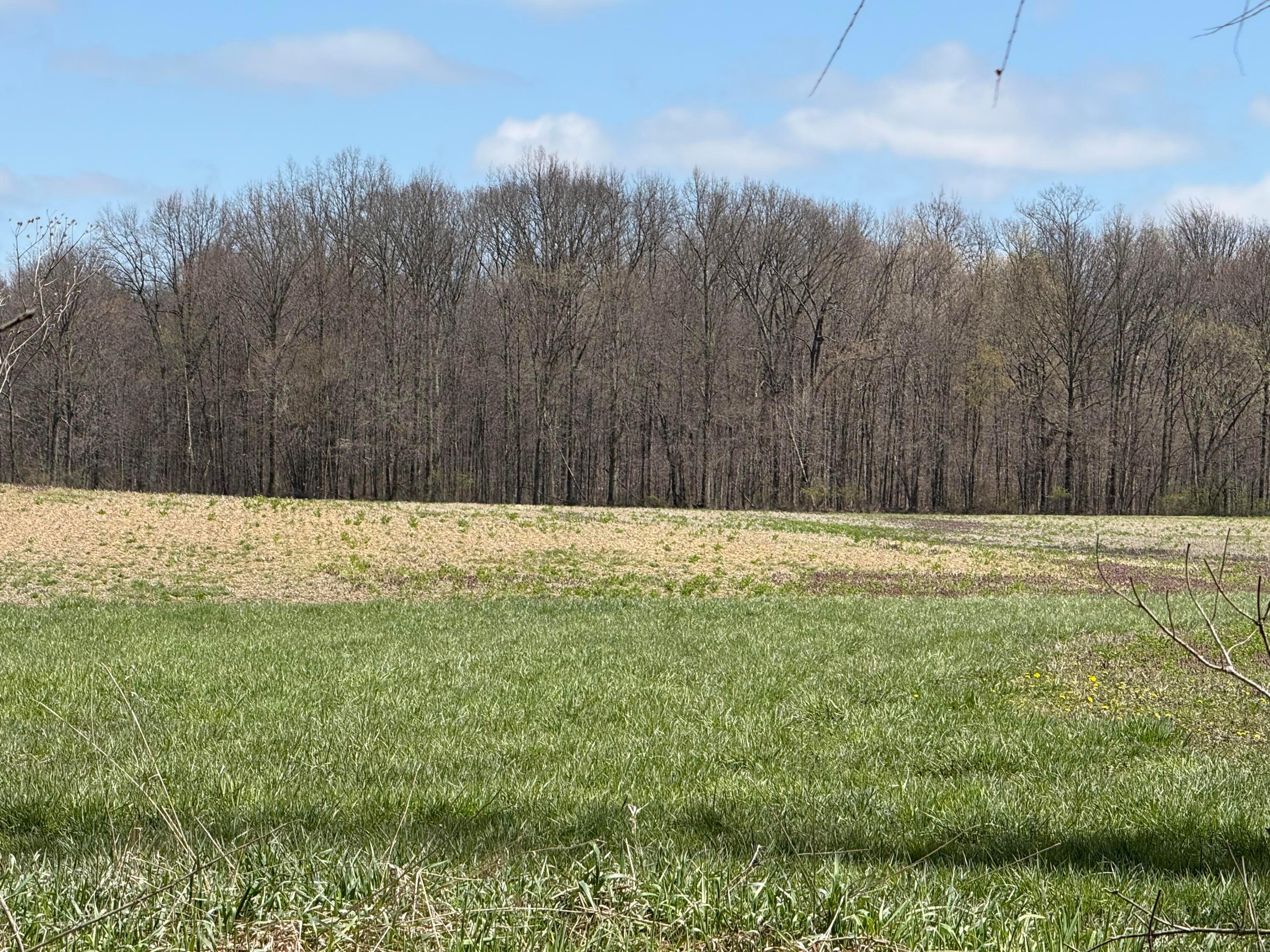Twp Rd 132, Cardington, Ohio image 2
