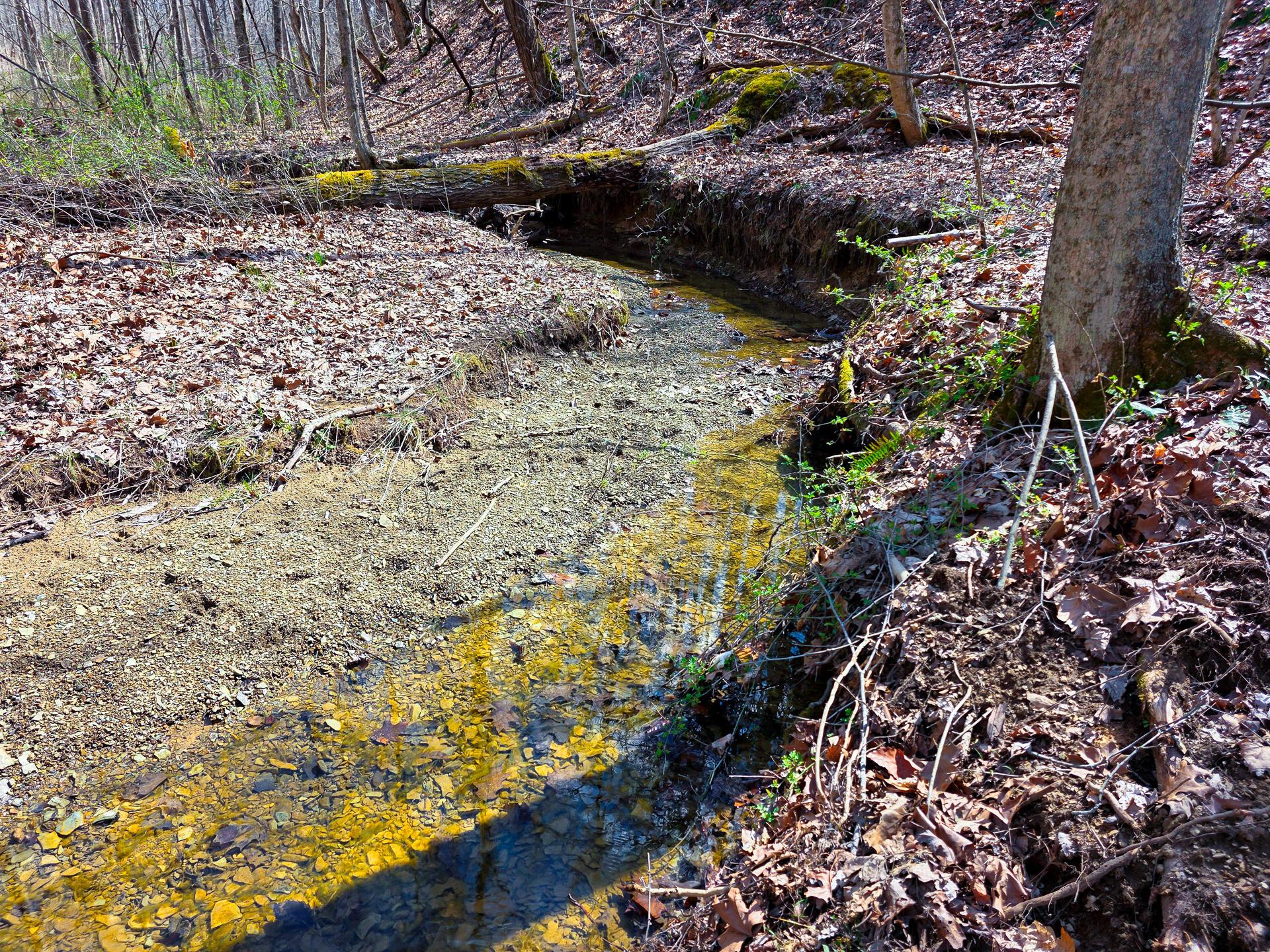 Edmunson Road #TRACT 7 AT BIG TIMBER, Vinton, Ohio image 11