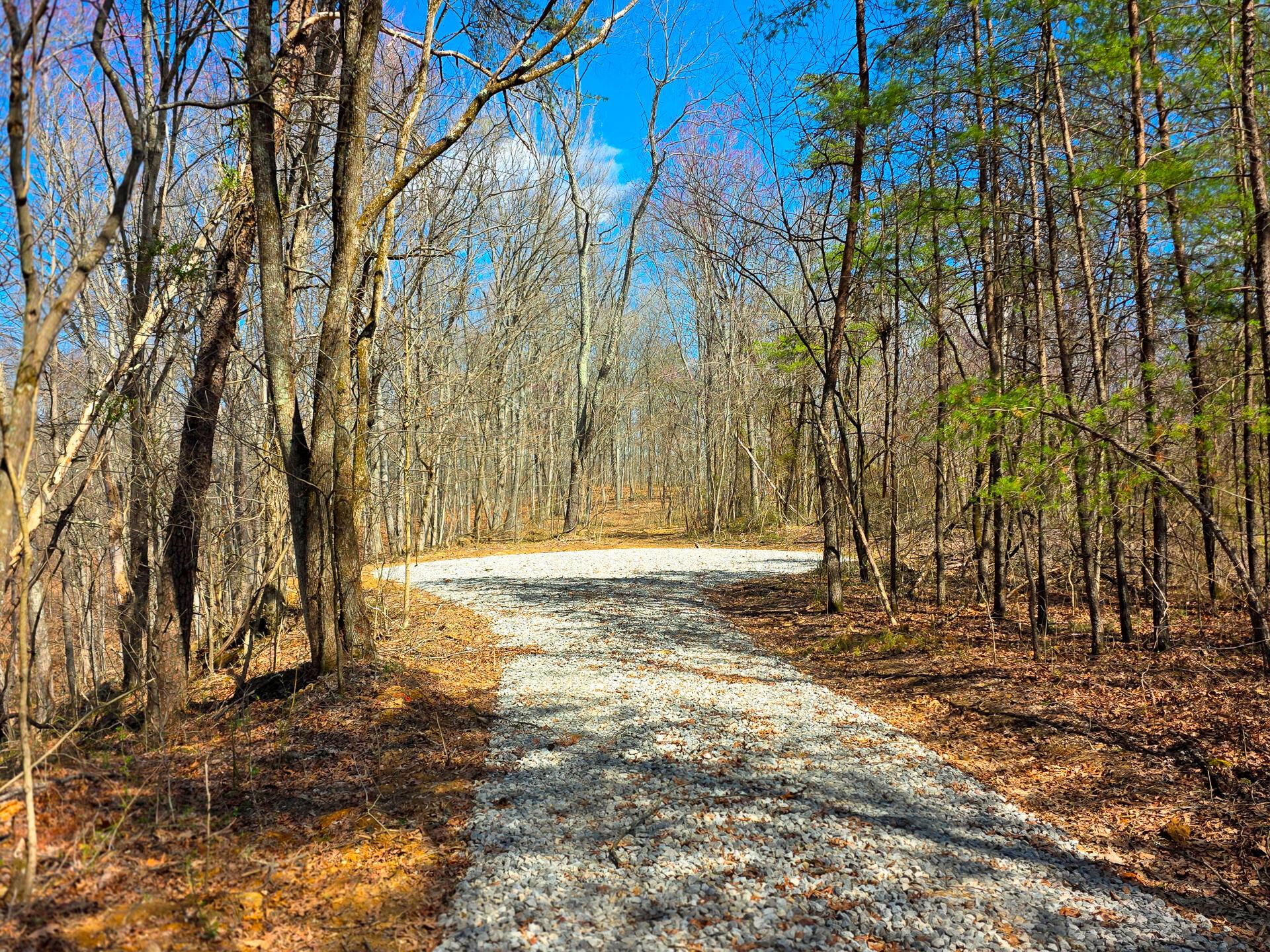 Edmunson Road #TRACT 7 AT BIG TIMBER, Vinton, Ohio image 1