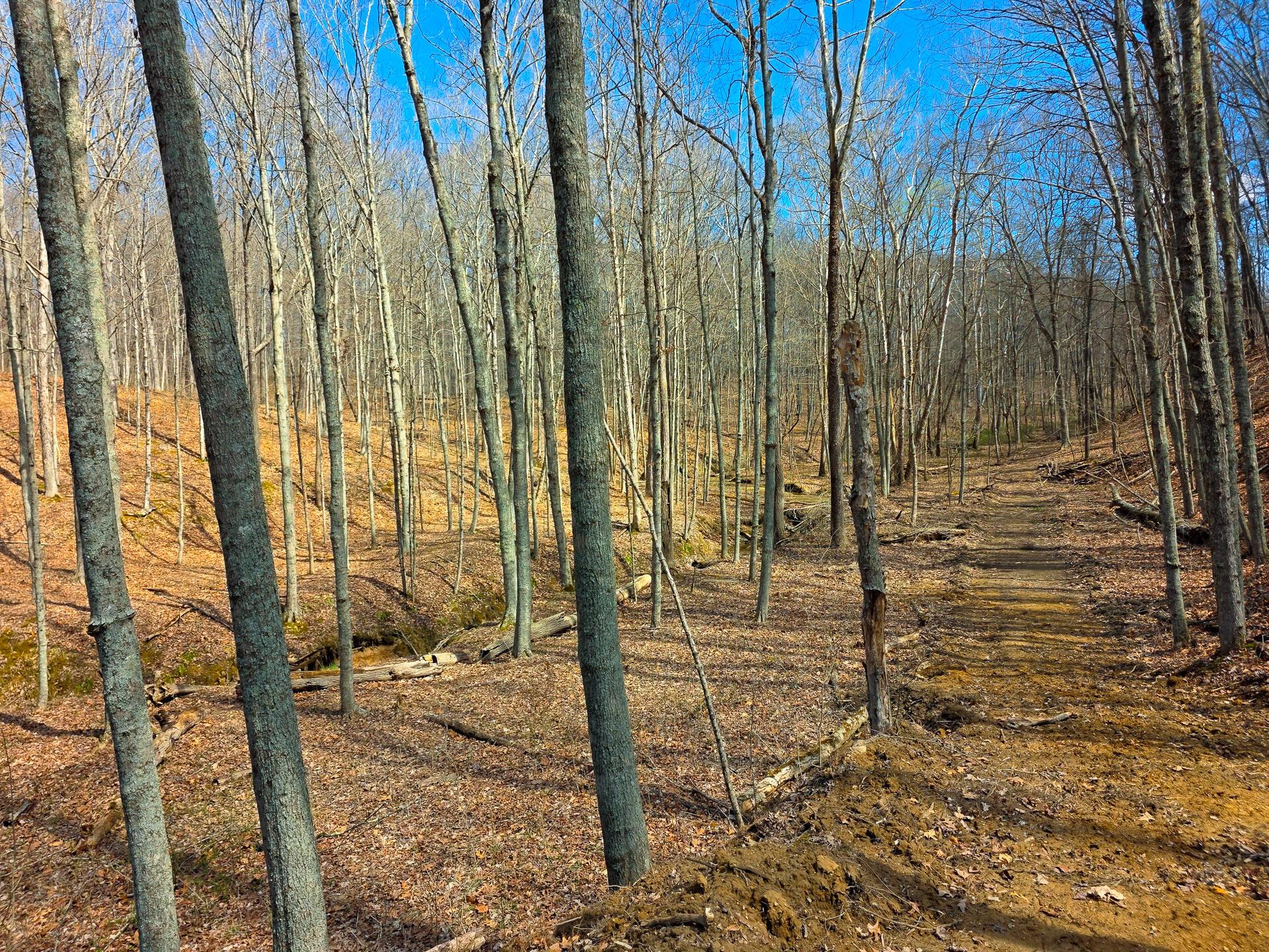 Edmunson Road #TRACT 7 AT BIG TIMBER, Vinton, Ohio image 8