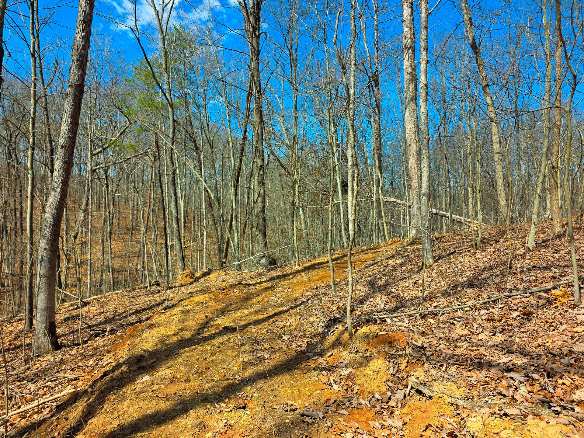 Edmunson Road #TRACT 7 AT BIG TIMBER, Vinton, Ohio image 31