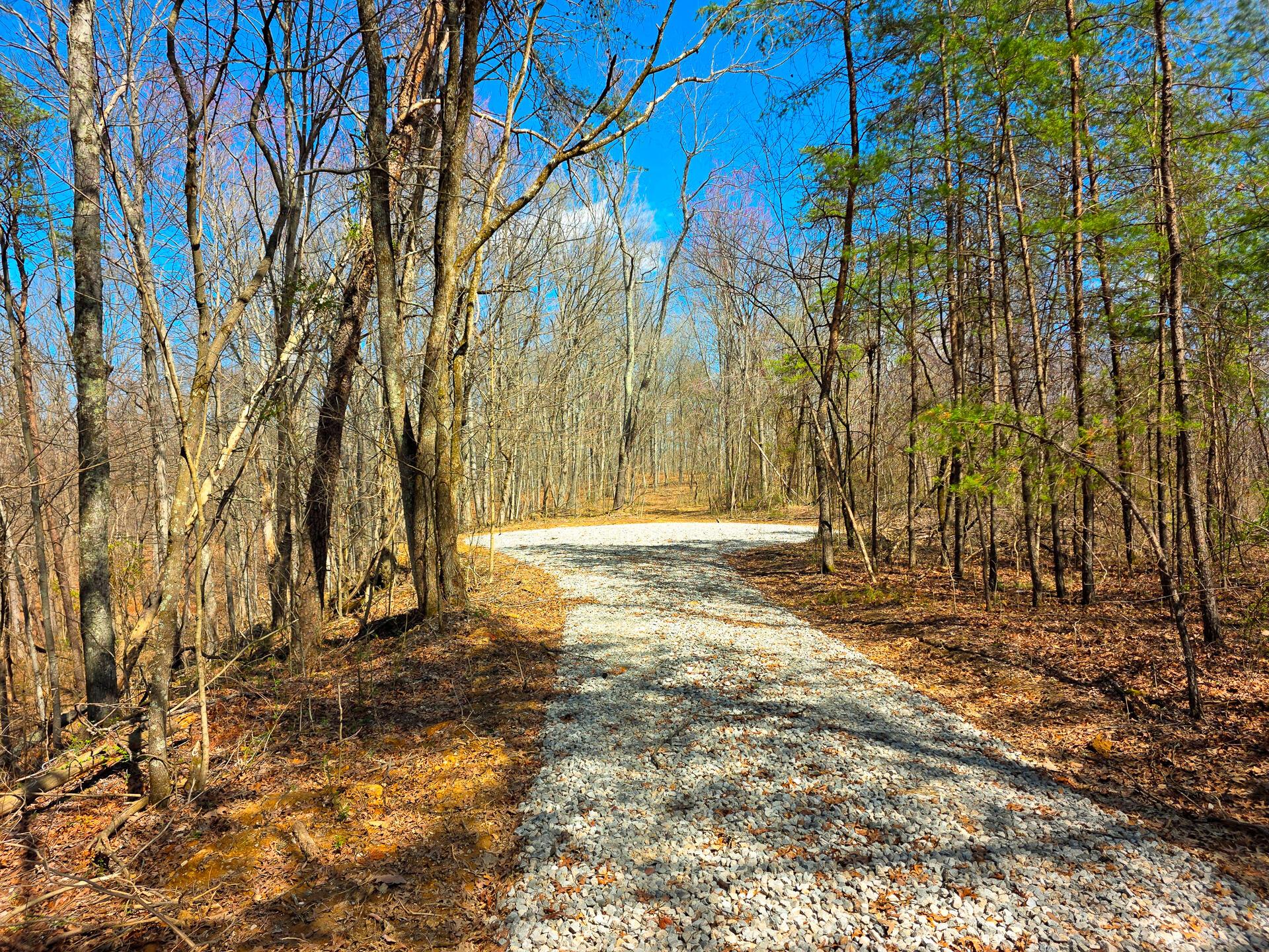 Edmunson Road #TRACT 7 AT BIG TIMBER, Vinton, Ohio image 17