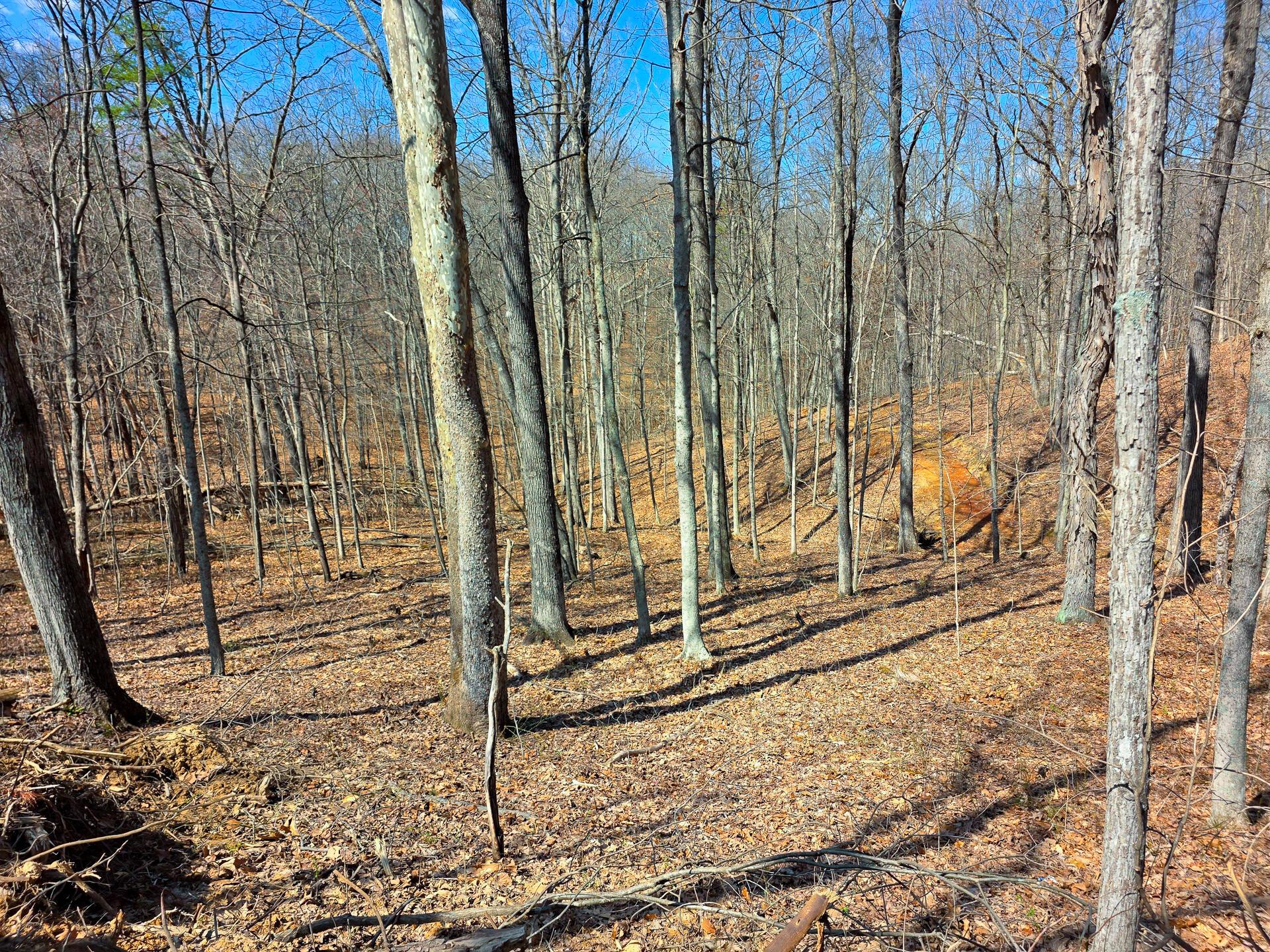 Edmunson Road #TRACT 7 AT BIG TIMBER, Vinton, Ohio image 5