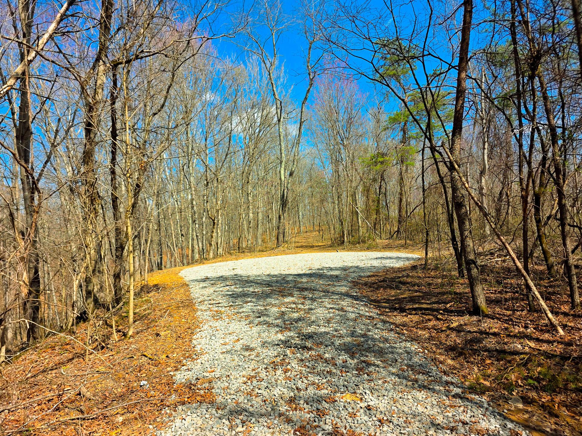 Edmunson Road #TRACT 7 AT BIG TIMBER, Vinton, Ohio image 18