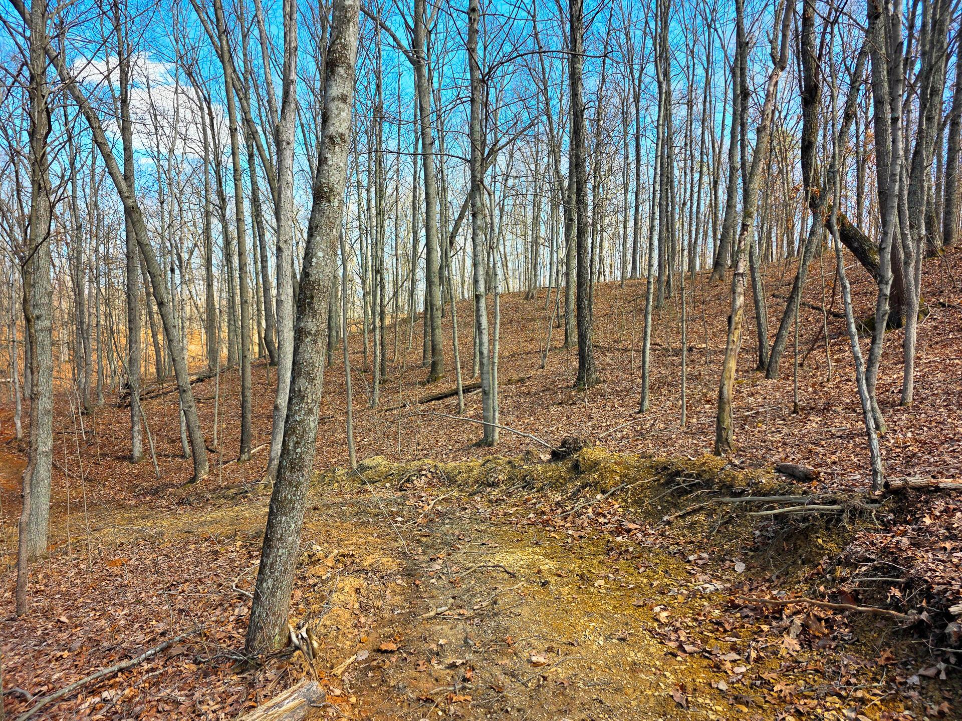 Edmunson Road #TRACT 7 AT BIG TIMBER, Vinton, Ohio image 34