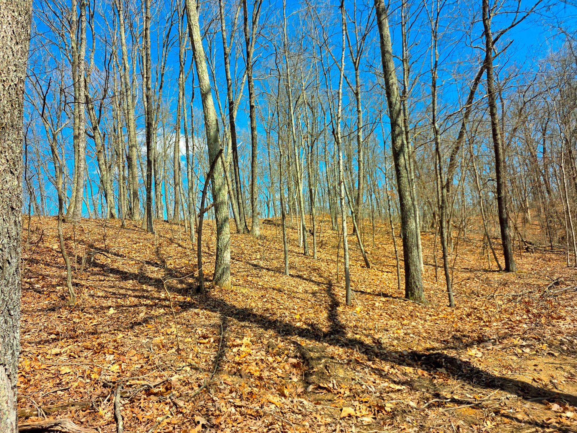 Edmunson Road #TRACT 7 AT BIG TIMBER, Vinton, Ohio image 44