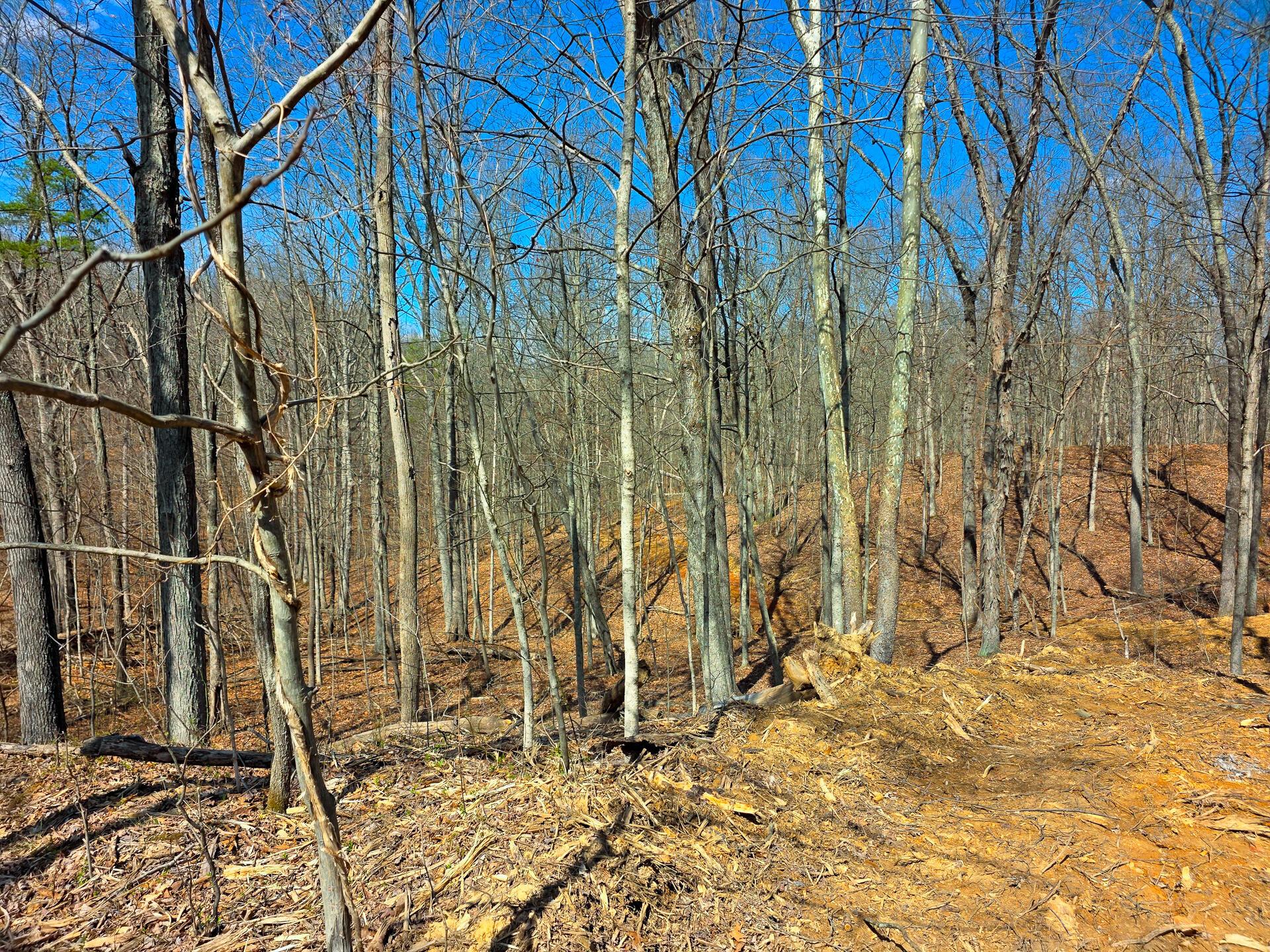 Edmunson Road #TRACT 7 AT BIG TIMBER, Vinton, Ohio image 22