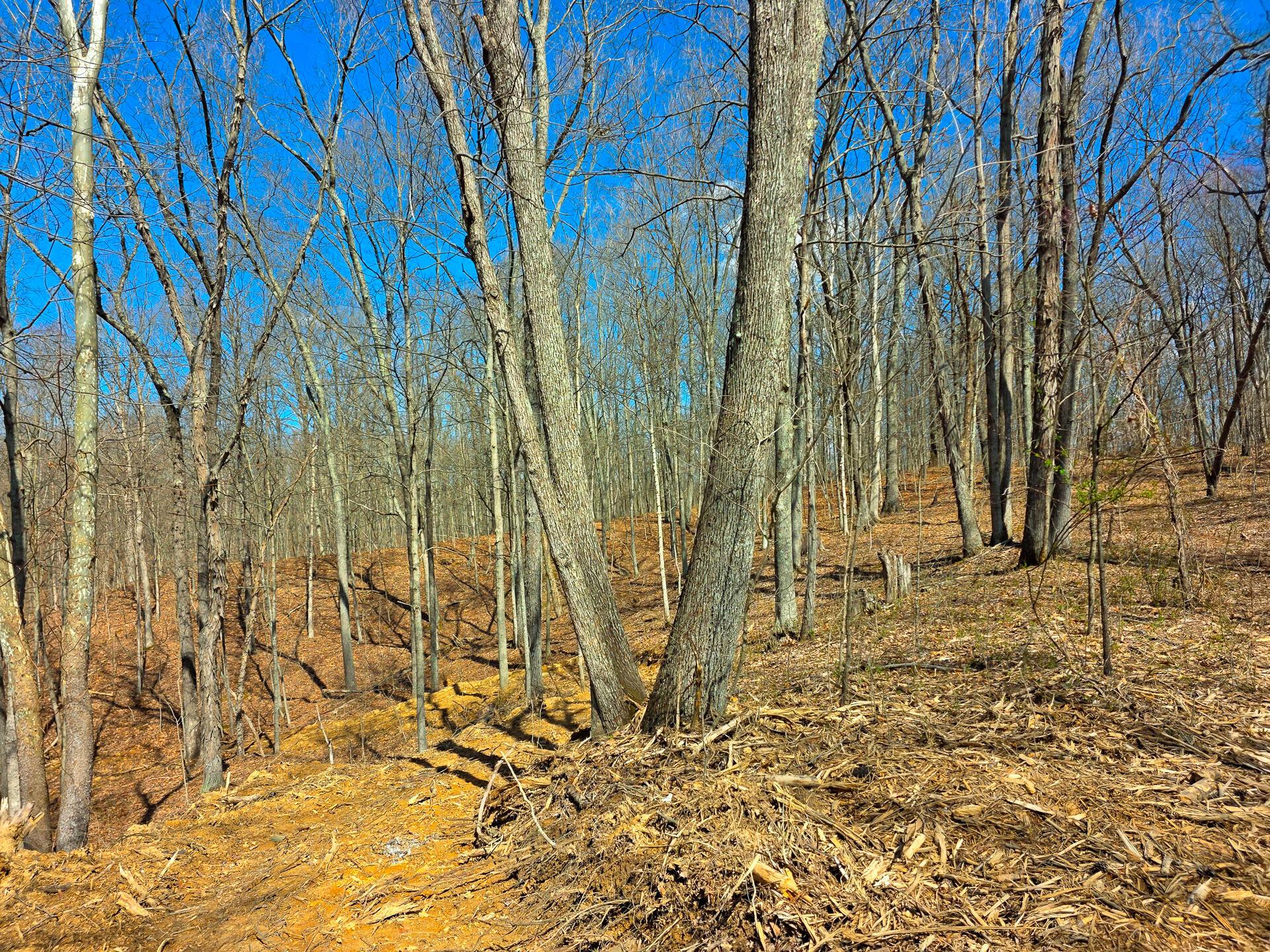 Edmunson Road #TRACT 7 AT BIG TIMBER, Vinton, Ohio image 21