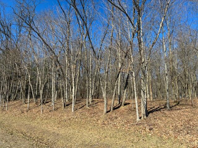 7326 State Route 19 Unit 7, Lots 186-189