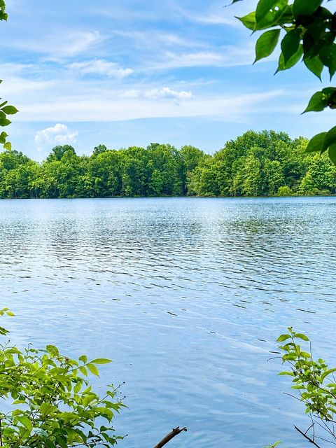 Tiny photo for 8323 Big Walnut Road, Westerville, OH 43082 (MLS # 226021830)