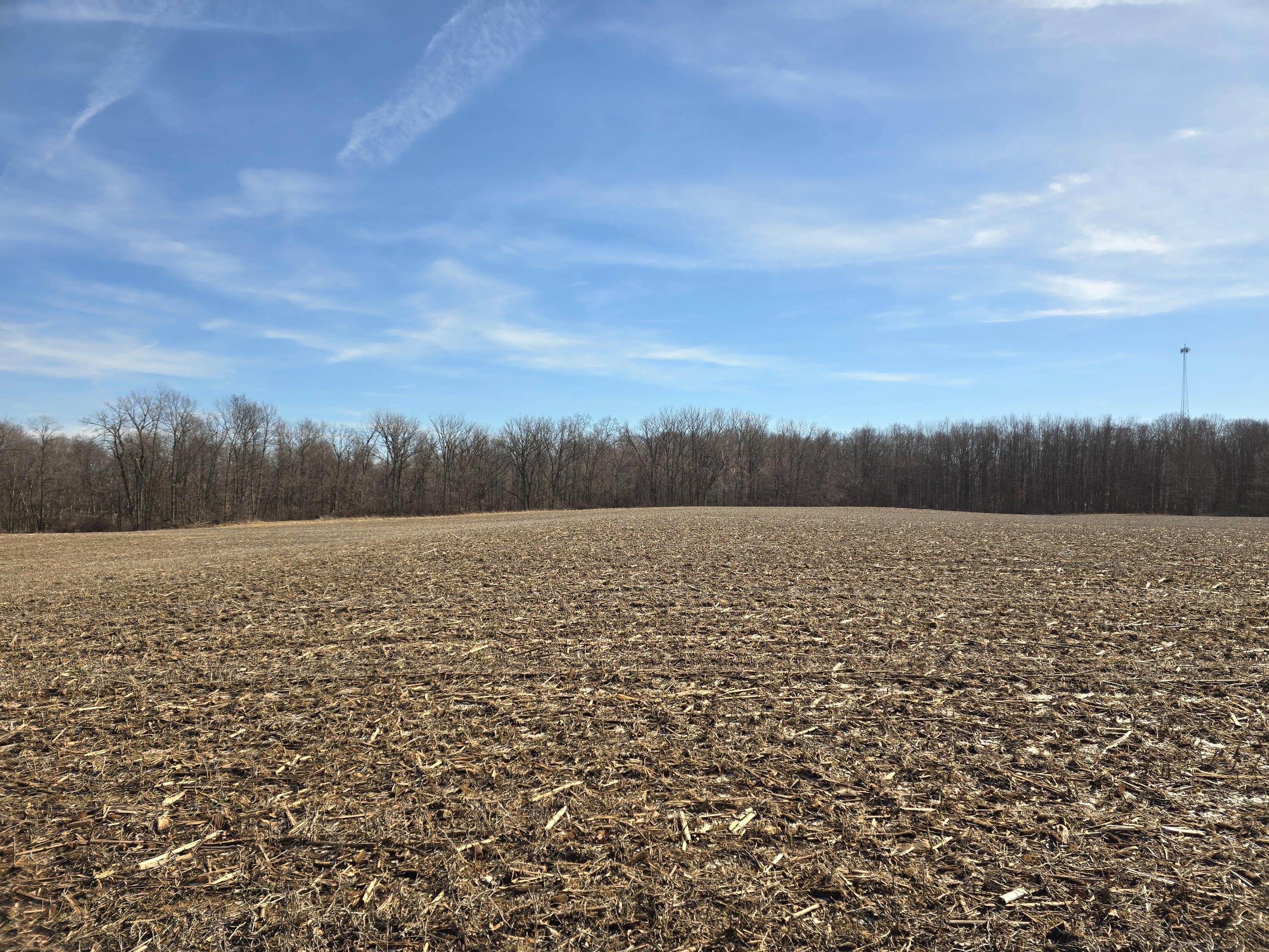 0003 County Road 19, Marengo, Ohio image 4