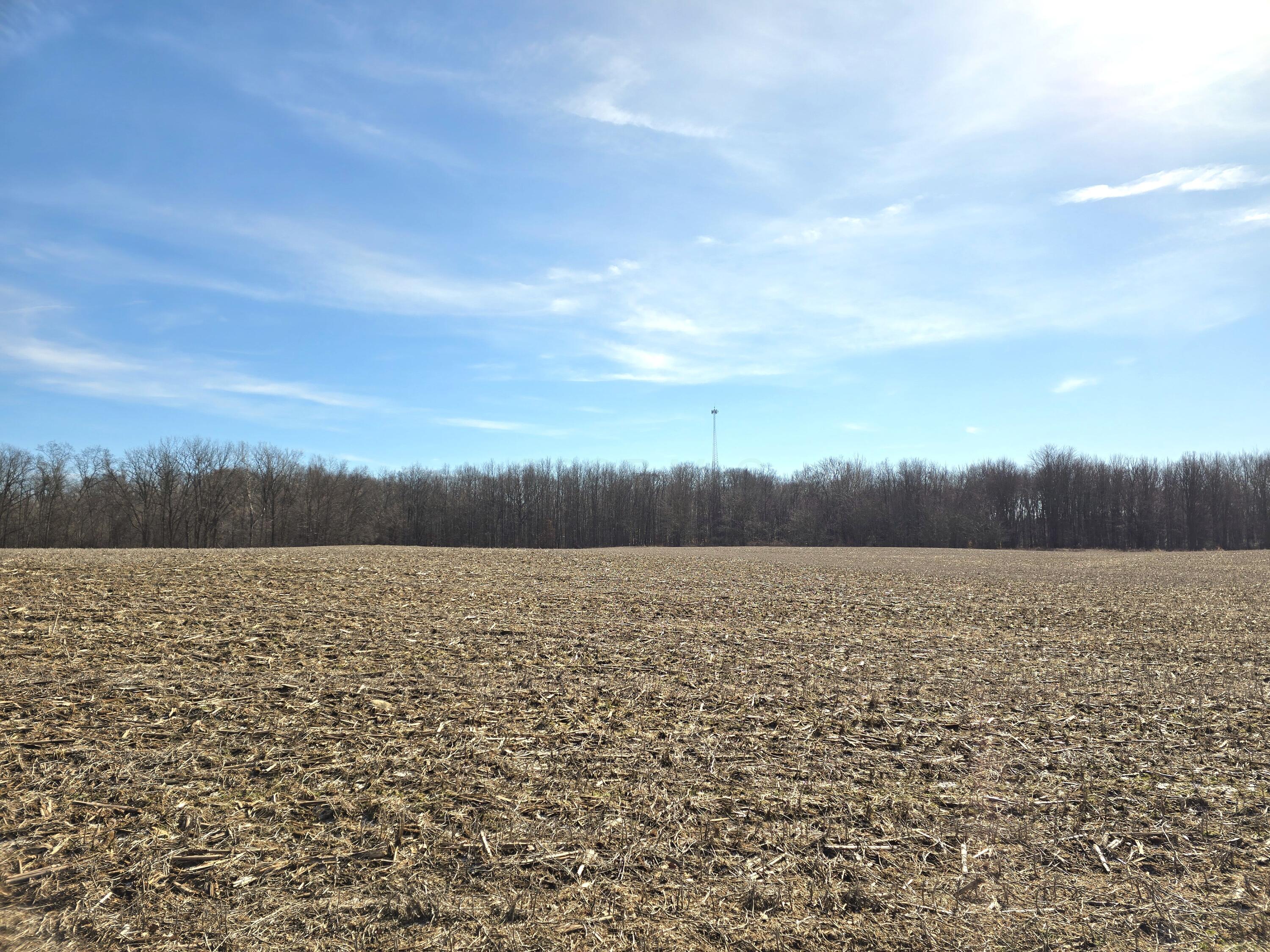 0003 County Road 19, Marengo, Ohio image 5