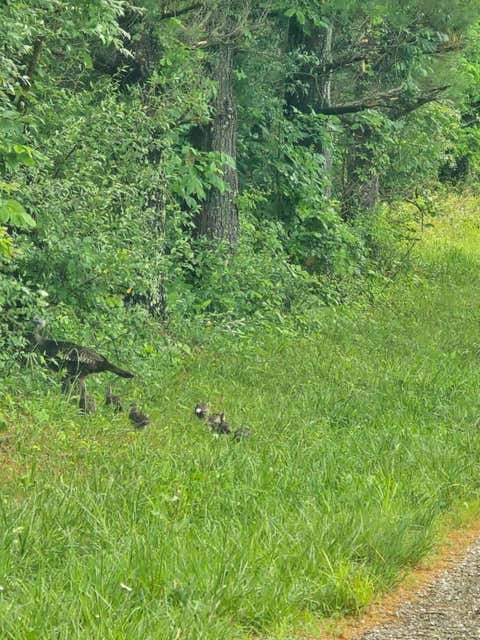 Tiny photo for 7924 Township Road 390 SE A #A, Corning, OH 43730 (MLS # 226022469)