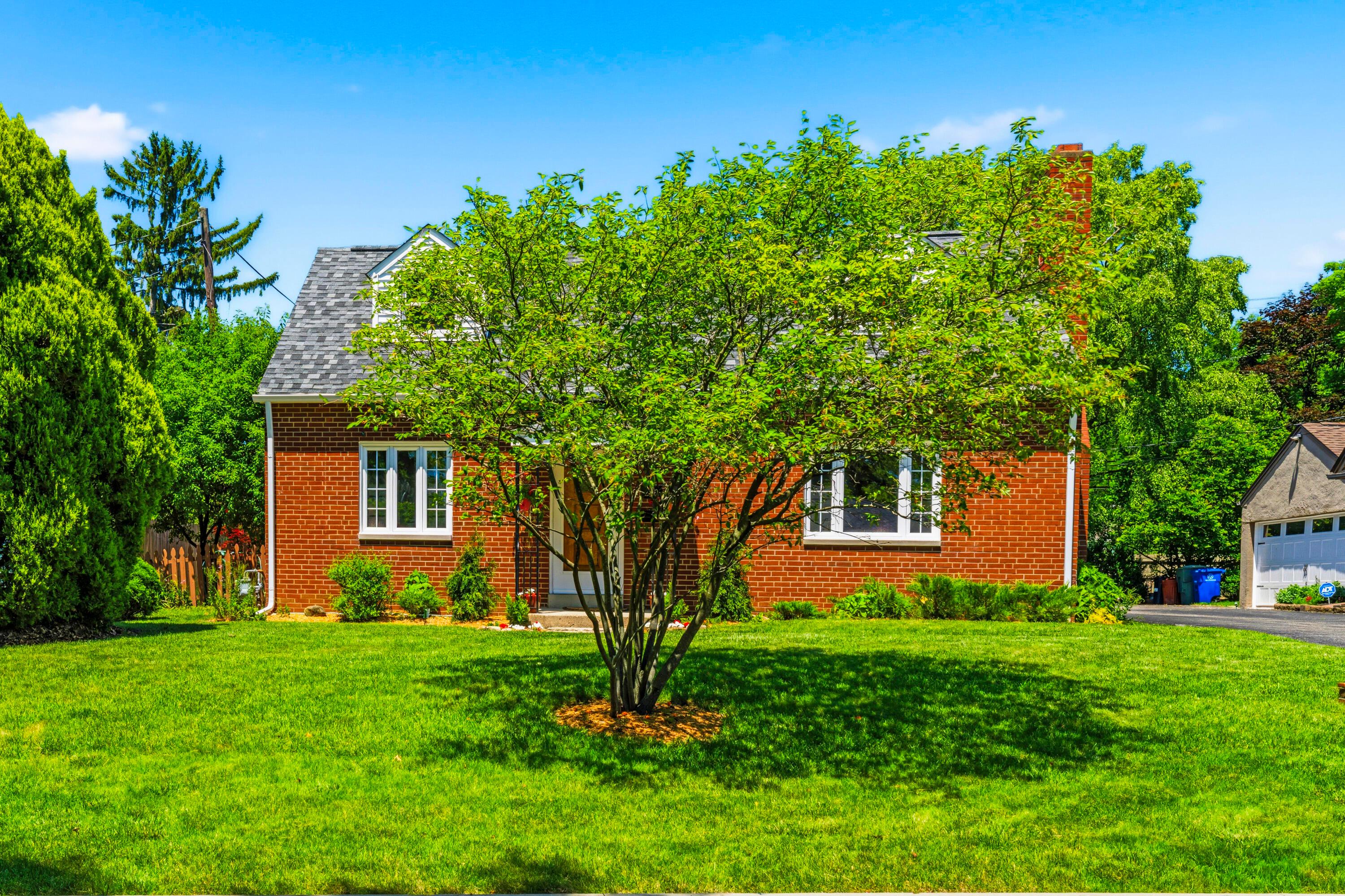 260 Dixon Court