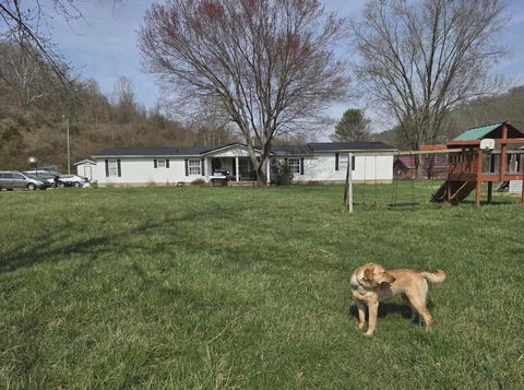 Photo of 64 Rock Lick Road, Crown City, OH 45623 (MLS # 226007975)