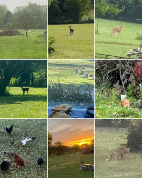 Tiny photo for 3432 London Lancaster Road, Groveport, OH 43125 (MLS # 226001833)