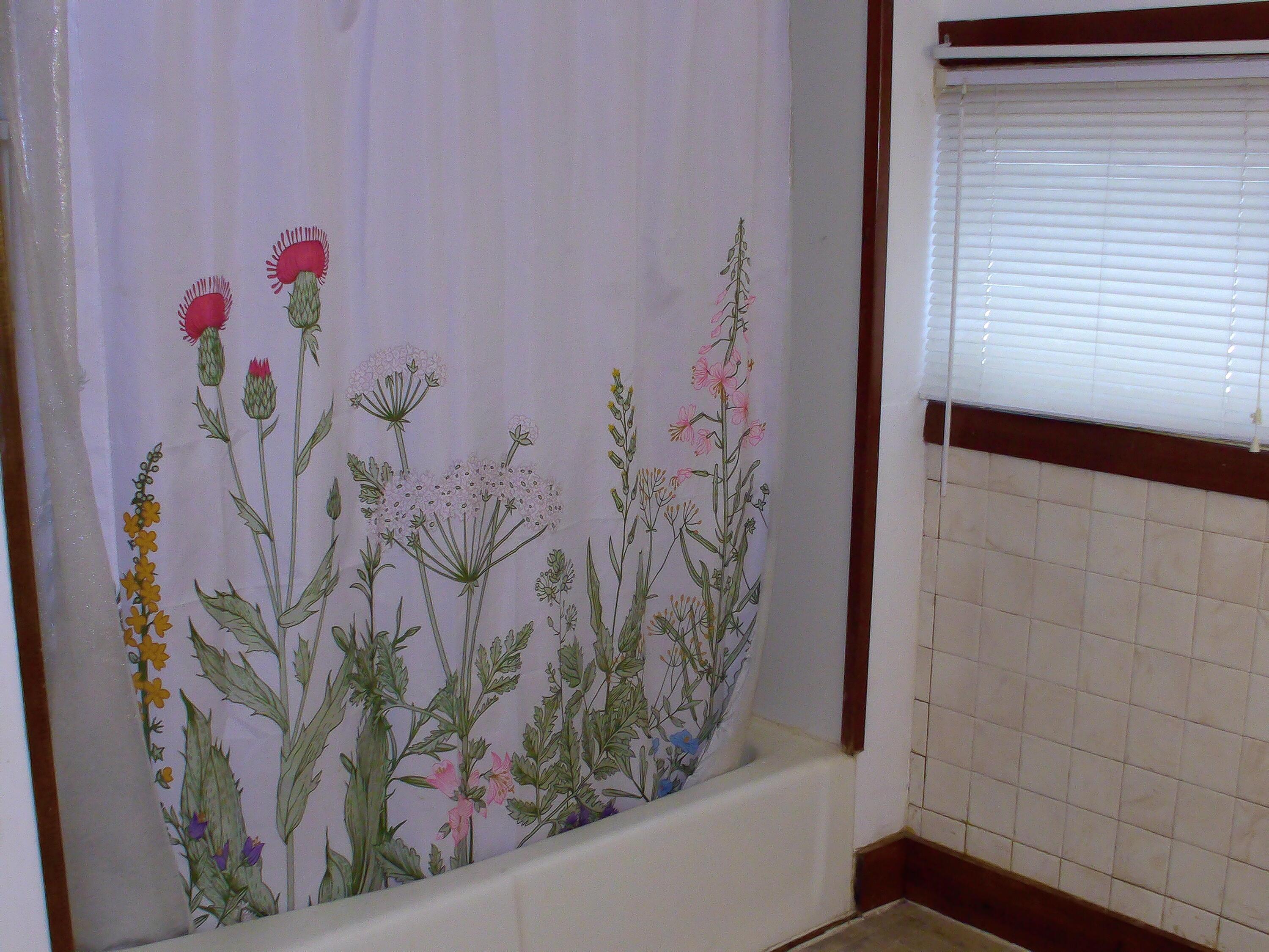 474 Chestnut Street, Nelsonville, Ohio image 39