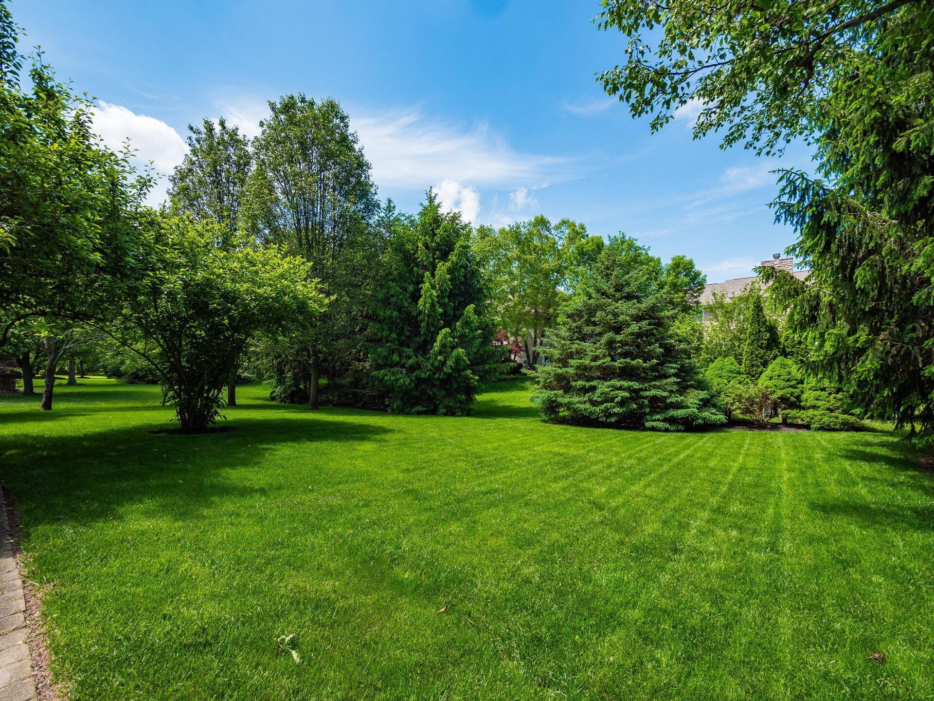 6628 Dalmore Lane, Dublin, Ohio image 46