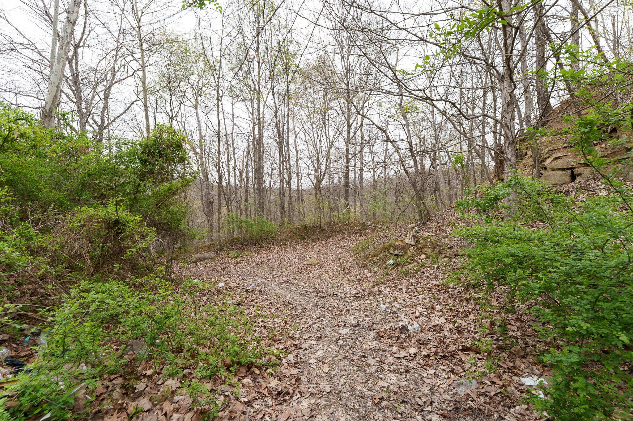 38846 Karnes Road, Nelsonville, Ohio image 6