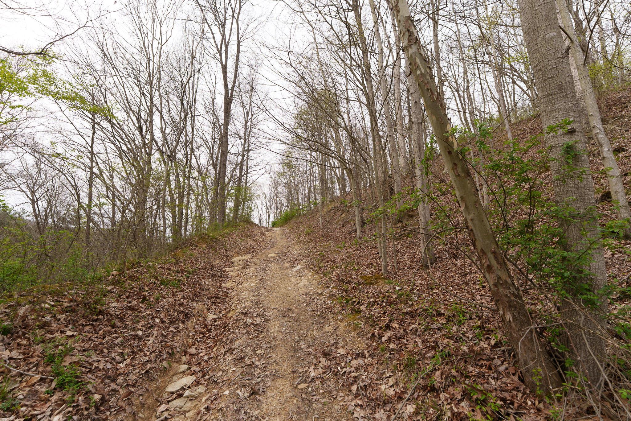 38846 Karnes Road, Nelsonville, Ohio image 10