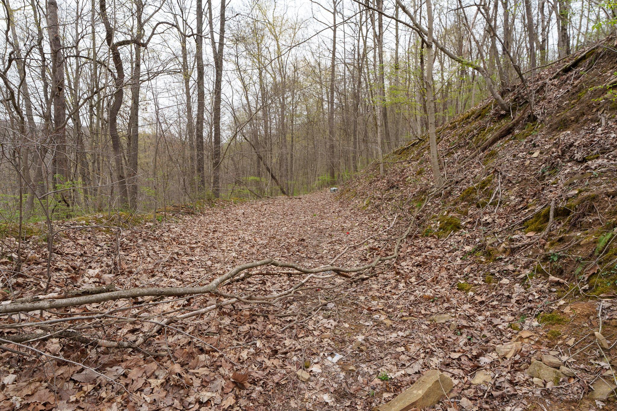 38846 Karnes Road, Nelsonville, Ohio image 11