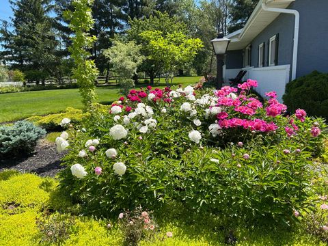 Tiny photo for 6875 Central College Road, New Albany, OH 43054 (MLS # 226001419)