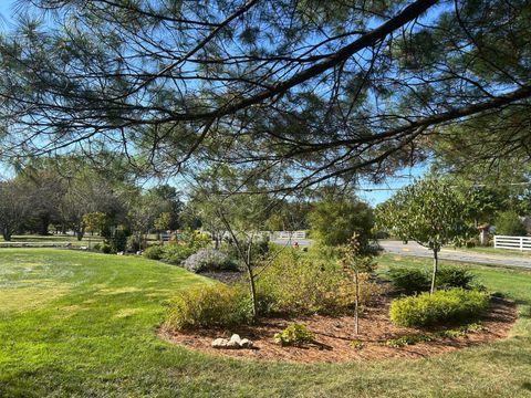 Tiny photo for 6875 Central College Road, New Albany, OH 43054 (MLS # 226001419)