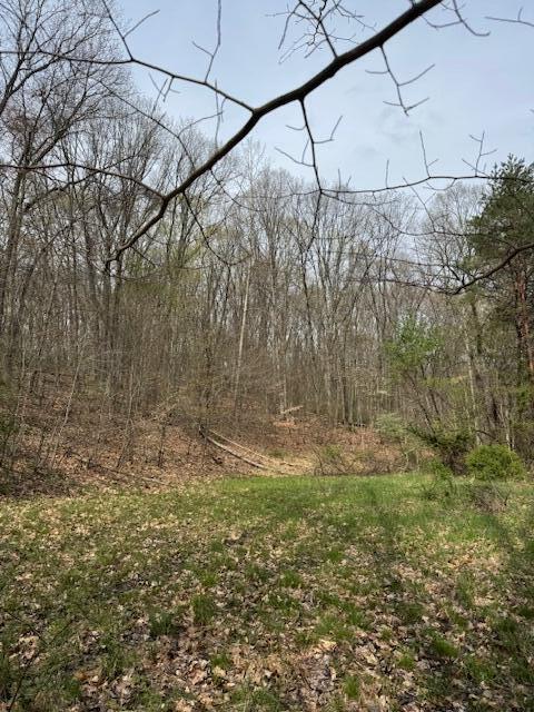 Walnut Dowler Road, Logan, Ohio image 9