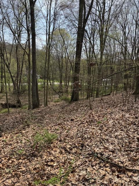 Walnut Dowler Road, Logan, Ohio image 6