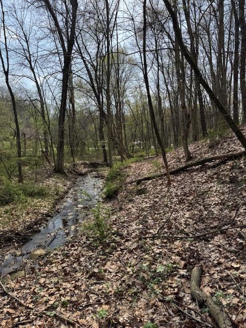 Walnut Dowler Road, Logan, Ohio image 2