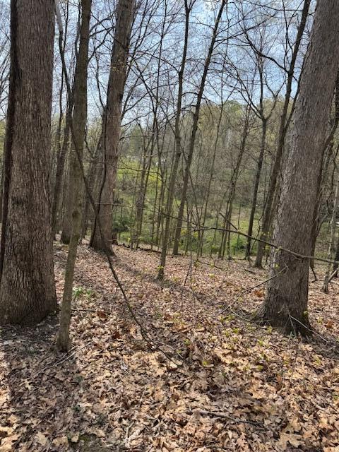 Walnut Dowler Road, Logan, Ohio image 11