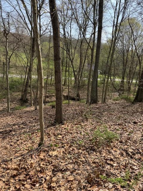 Walnut Dowler Road, Logan, Ohio image 7