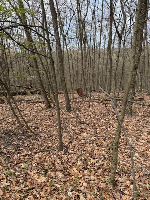 Walnut Dowler Road, Logan, Ohio image 12