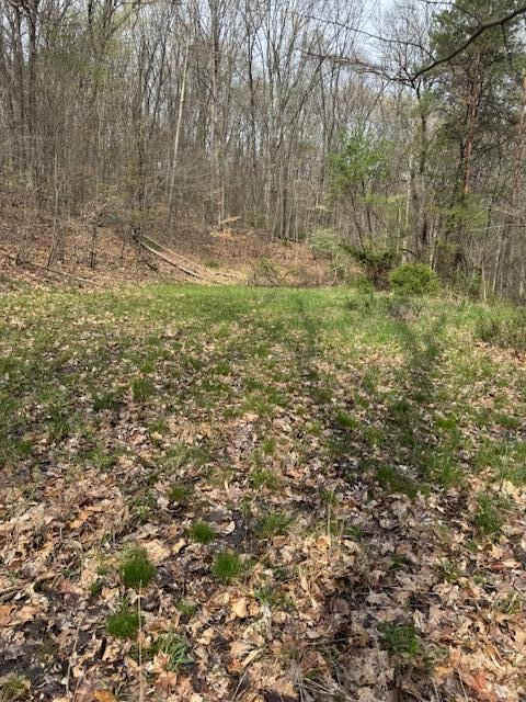 Walnut Dowler Road, Logan, Ohio image 8