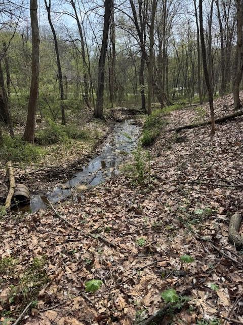 Walnut Dowler Road, Logan, Ohio image 1