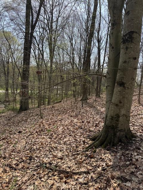 Walnut Dowler Road, Logan, Ohio image 5