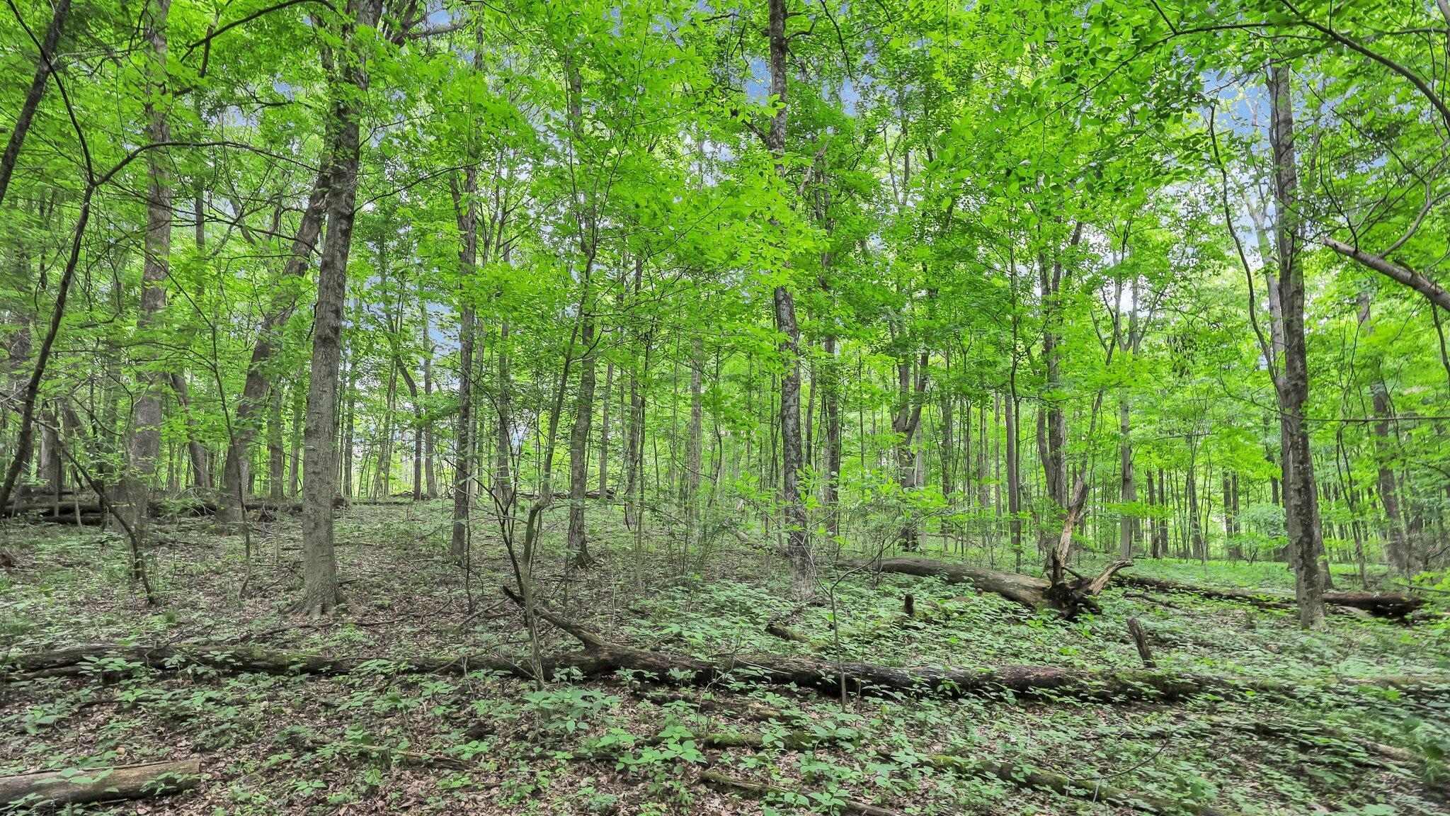 6903 Watkins Road, Pataskala, Ohio image 20