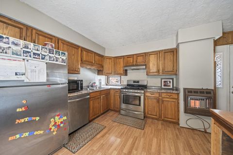 Tiny photo for 59 Elkhart Road, Beaver, OH 45613 (MLS # 225045961)