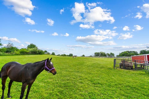 Tiny photo for 7460 Brush Lake Road, North Lewisburg, OH 43060 (MLS # 226020866)