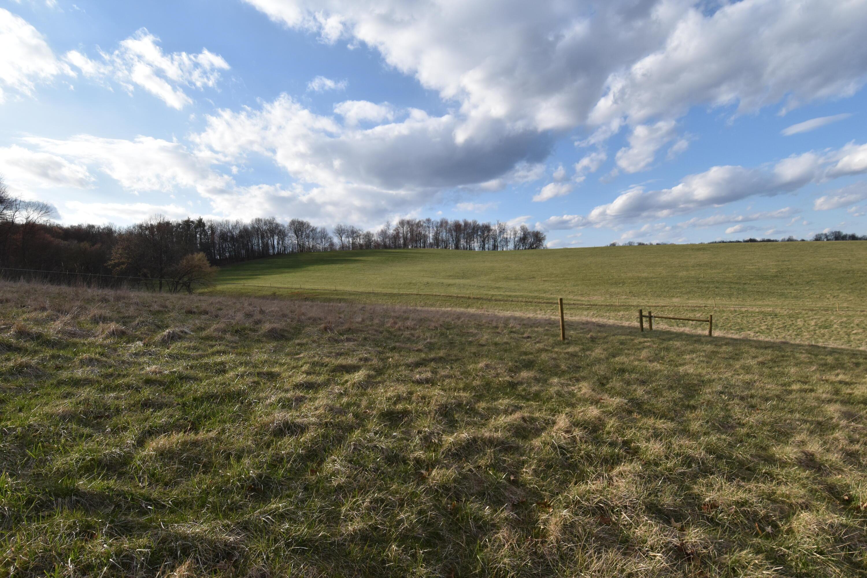 18535 Crawmer Road, Newark, Ohio image 8