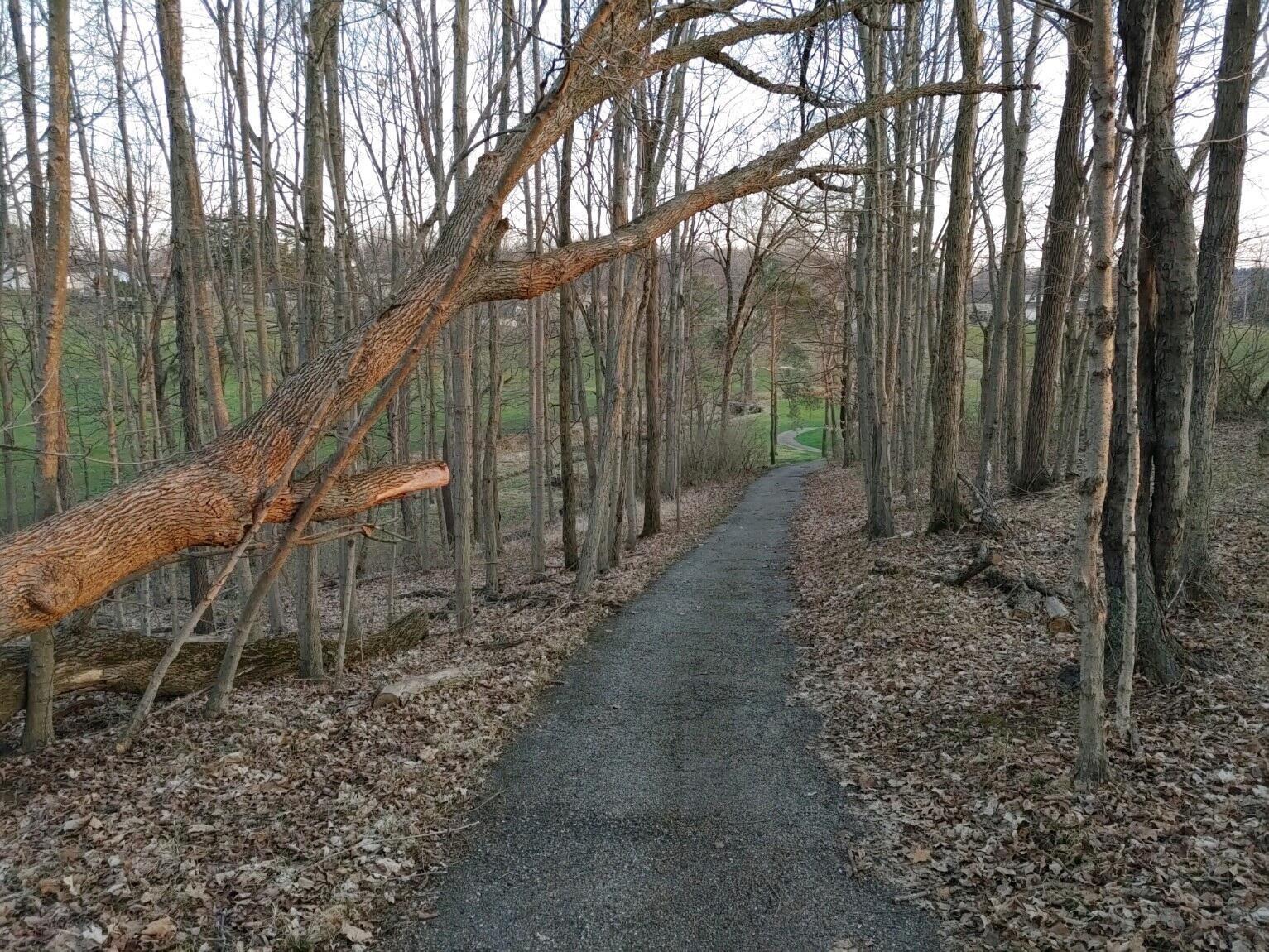 190 Coonpath Road, Lancaster, Ohio image 12
