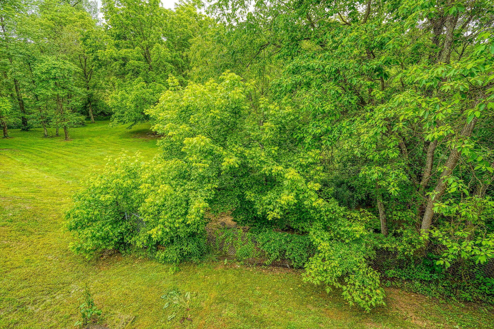 4137 Dry Run Road, Chillicothe, Ohio image 18