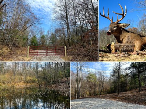 Photo of 0 Dutch Ridge Road (Woods Turkey Run Tract 2) #(Woods Turkey Run Tr, New Lexington, OH 43764 (MLS # 226001592)