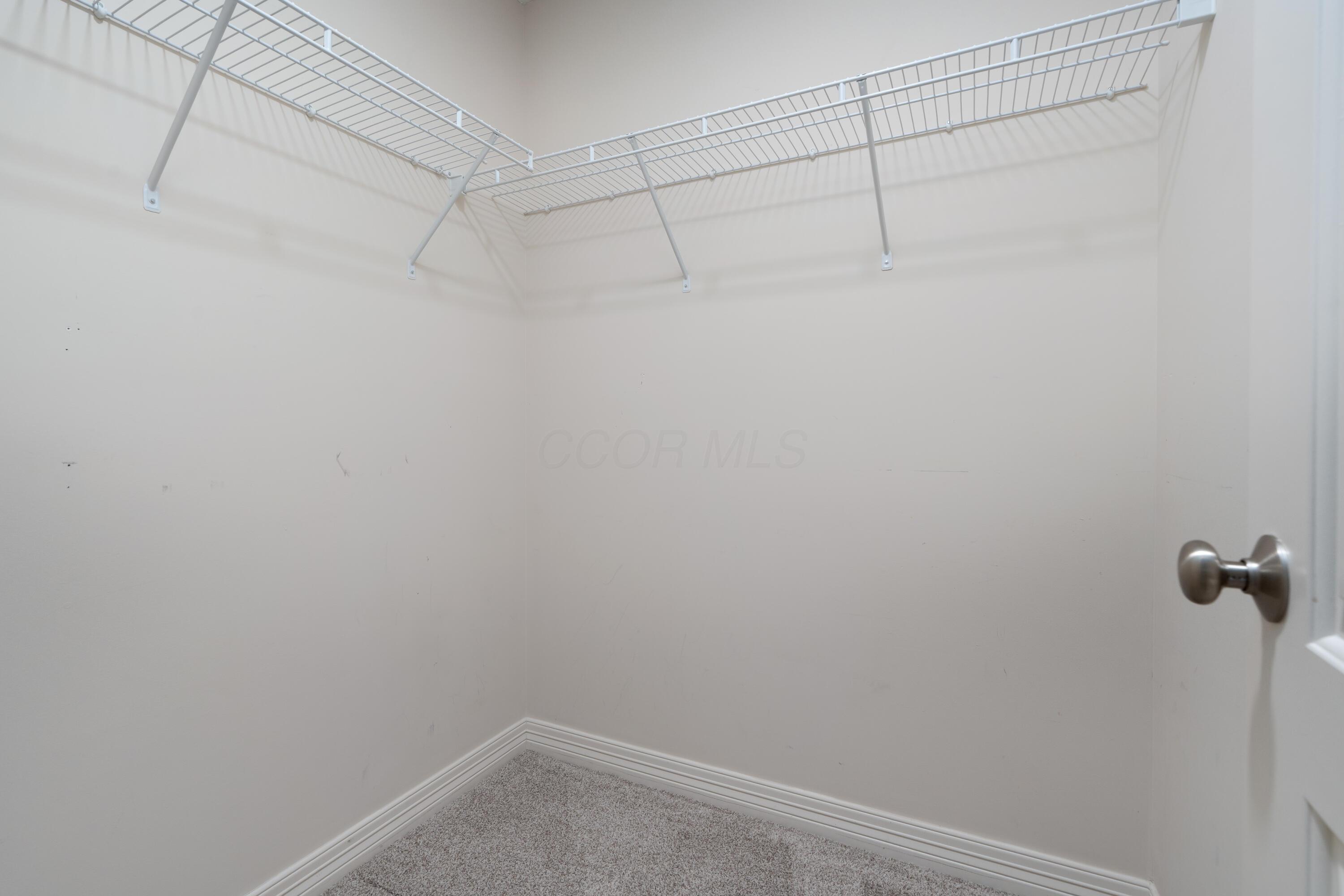 3941 Nordman Fir Drive, Grove City, Ohio image 29