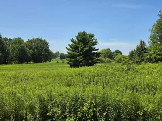 TSCHOPP RD NE, LANCASTER, OH 43130 - Image fbfae1e95c37f37b8f10a02c07ca405d/307568764