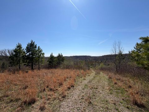 Photo of 66263 Old Shurtz Road, New Plymouth, OH 45654 (MLS # 226012295)