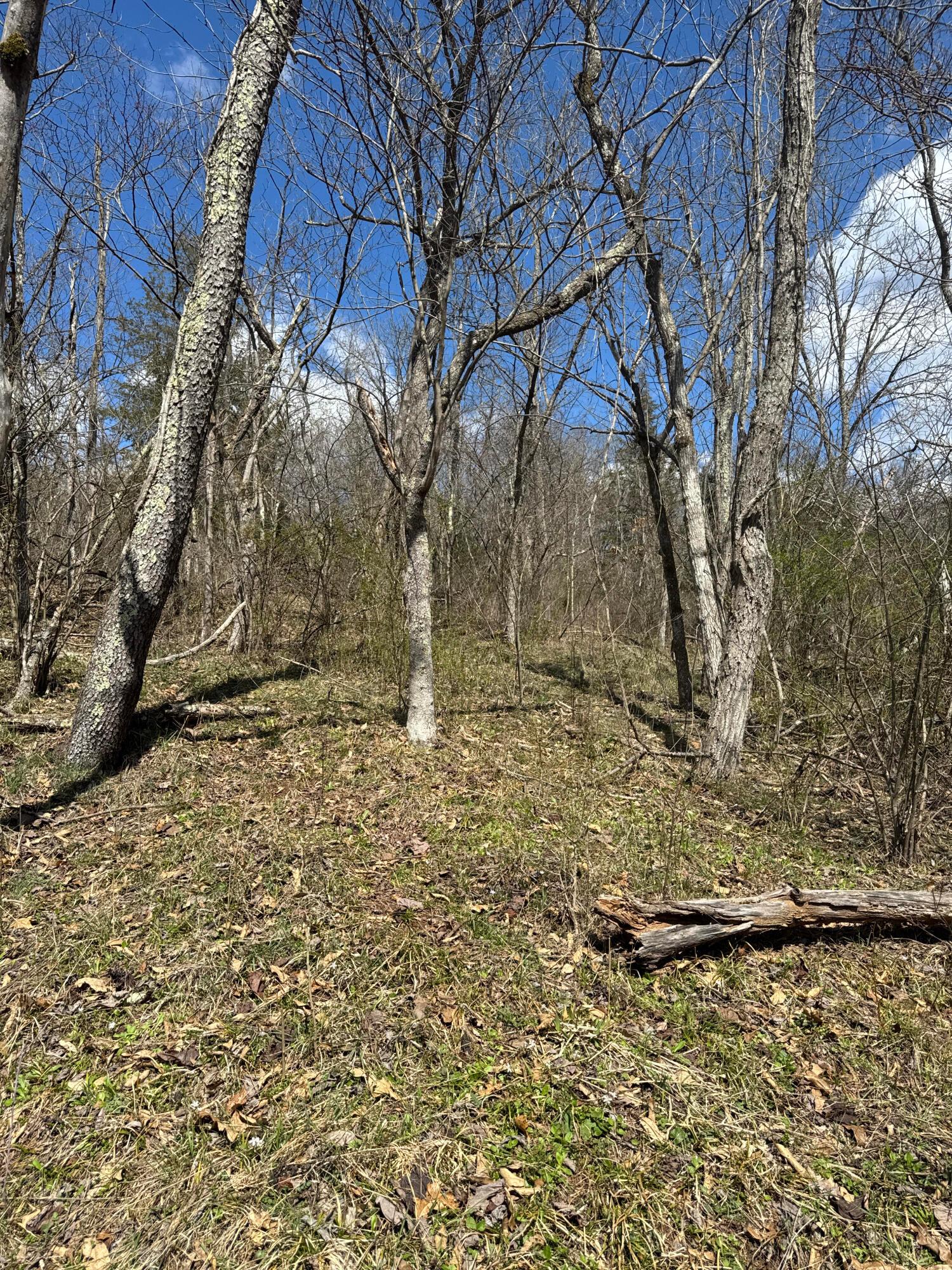 Left Fork Road, Bidwell, Ohio image 7