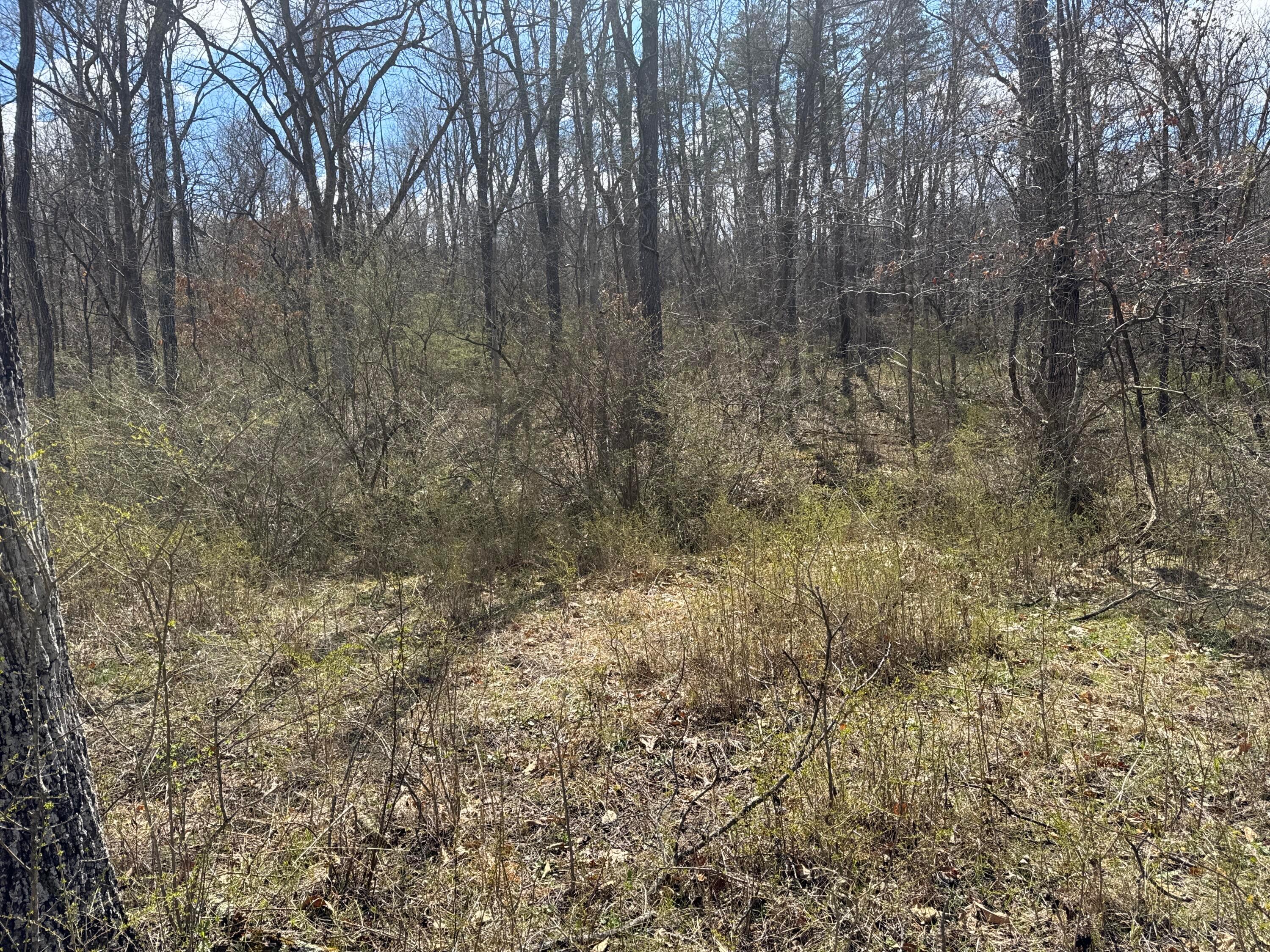 Left Fork Road, Bidwell, Ohio image 19