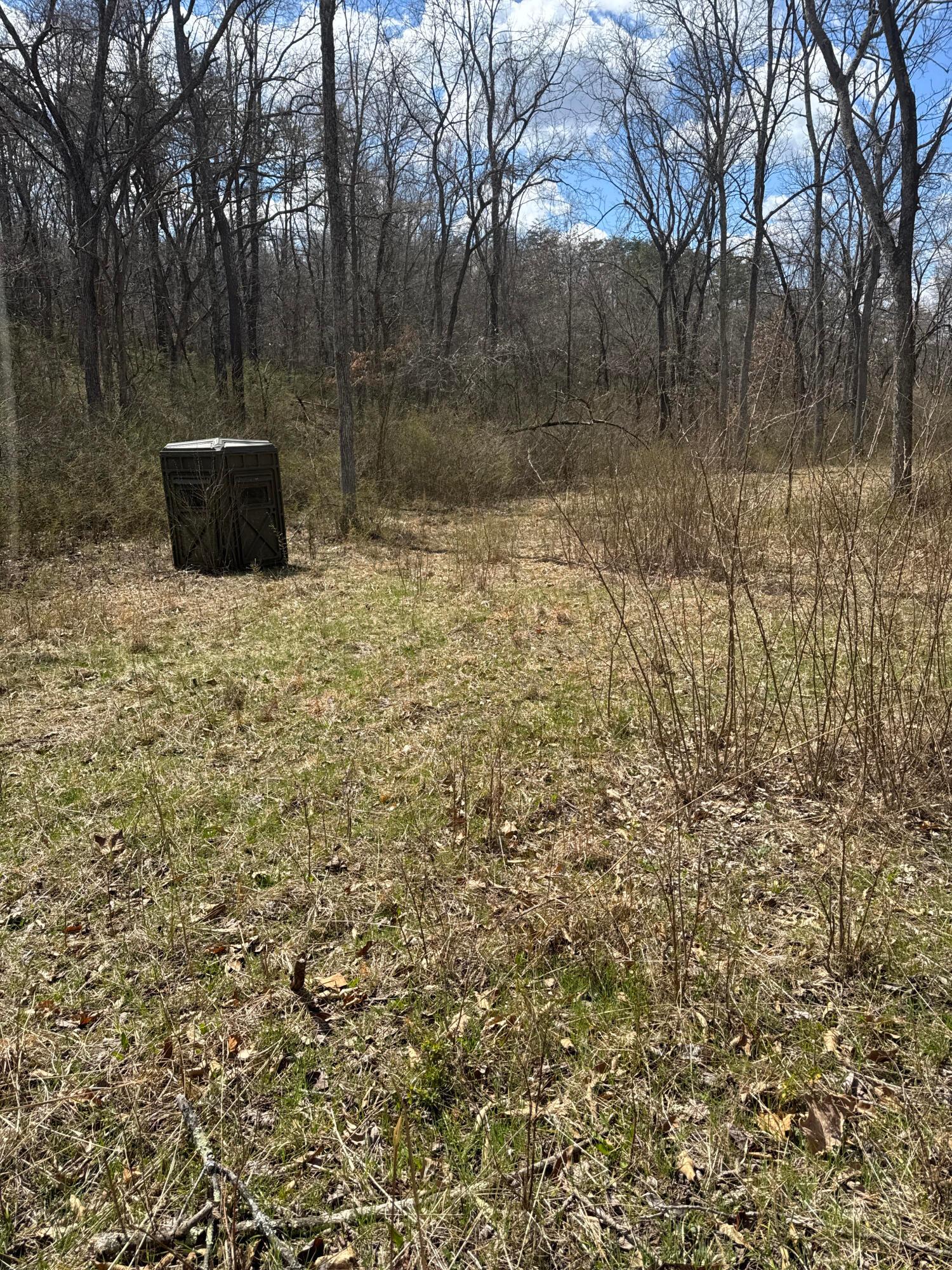 Left Fork Road, Bidwell, Ohio image 28