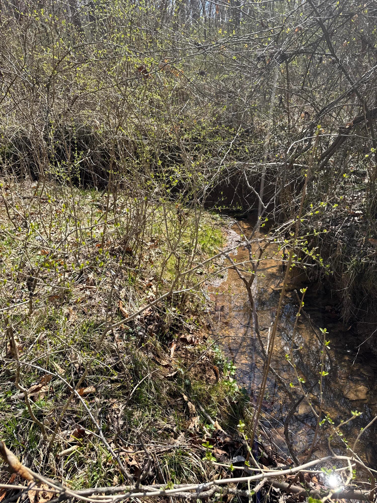 Left Fork Road, Bidwell, Ohio image 11